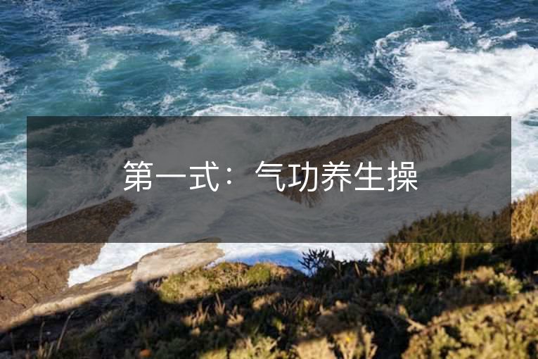 第一式:气功养生操 第一式:气功养生操